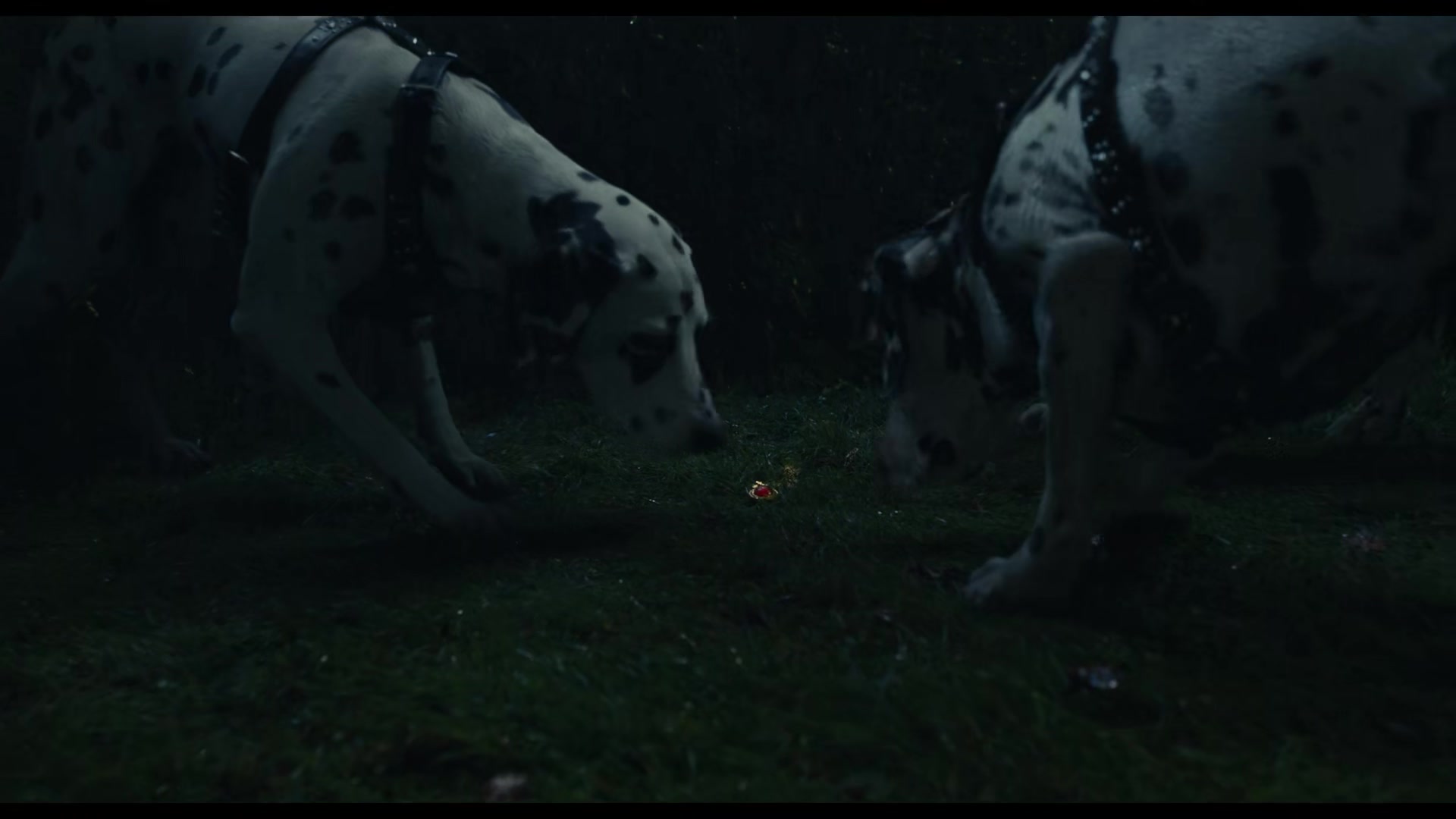 cruella_0293.jpg