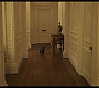 Filename=cruella_1573.jpg
Filesize=127KiB
Dimensions=1920x1080
Date added=May 29, 2021 cruella_1573.jpg