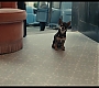 Filename=cruella_1794.jpg
Filesize=151KiB
Dimensions=1920x1080
Date added=May 29, 2021 cruella_1794.jpg