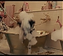 Filename=cruella_1798.jpg
Filesize=152KiB
Dimensions=1920x1080
Date added=May 29, 2021 cruella_1798.jpg
