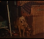 Filename=cruella_2582.jpg
Filesize=138KiB
Dimensions=1920x1080
Date added=May 29, 2021 cruella_2582.jpg