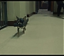Filename=cruella_2879.jpg
Filesize=81KiB
Dimensions=1920x1080
Date added=May 29, 2021 cruella_2879.jpg