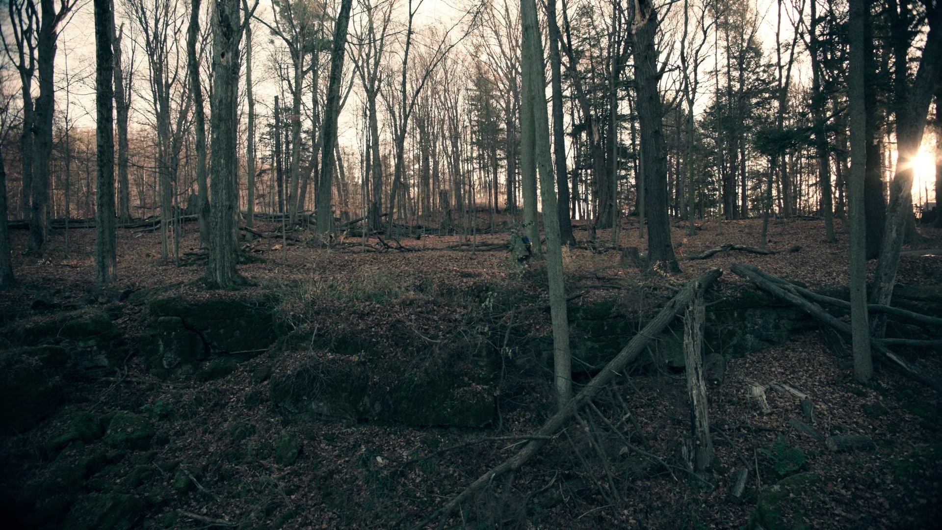 1x01_0046.jpg