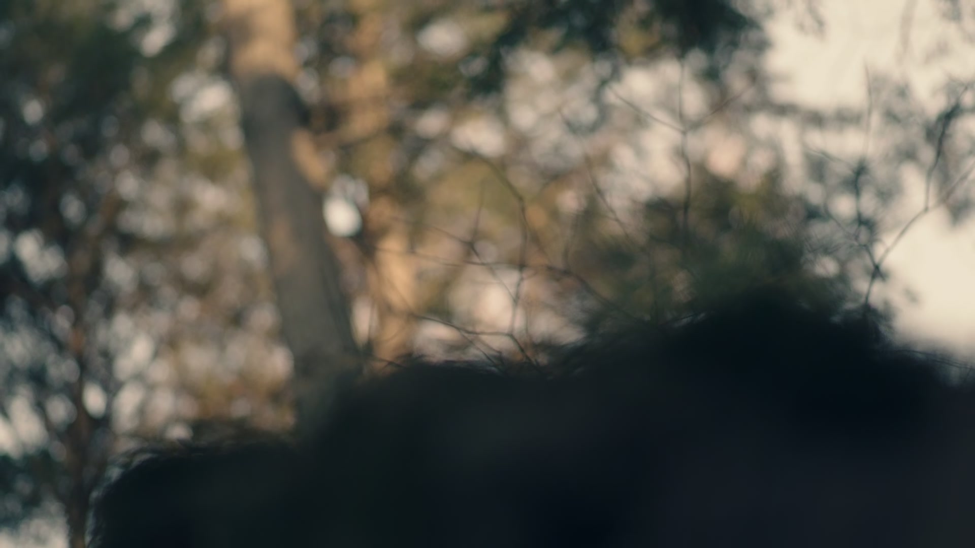 1x01_0092.jpg