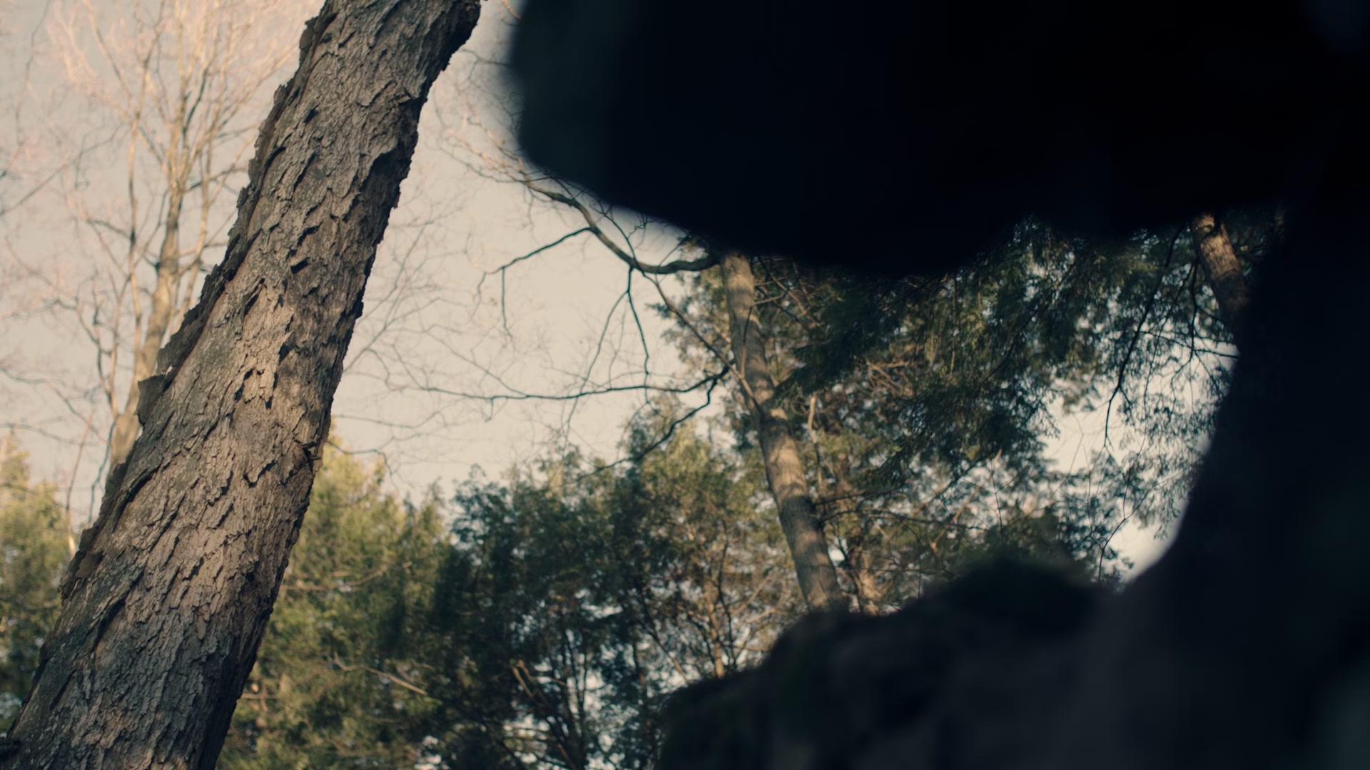 1x01_0097.jpg