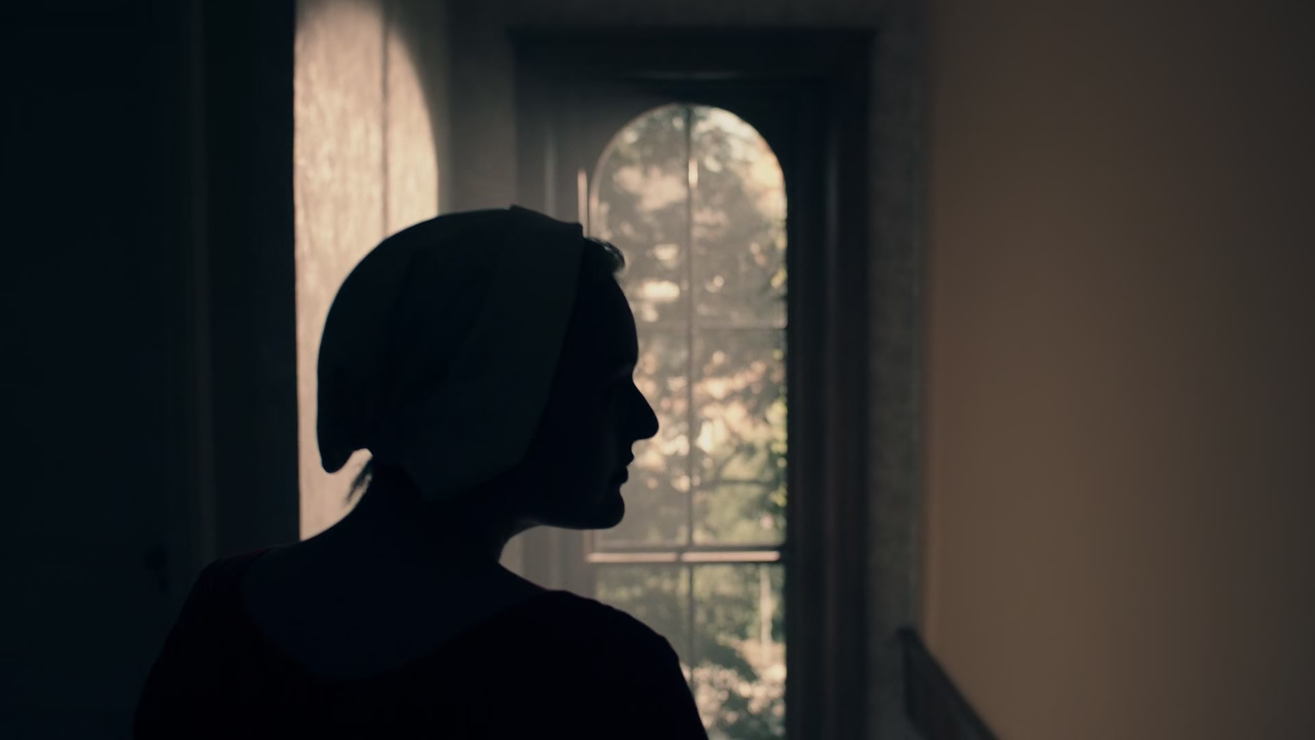 1x01_0242.jpg