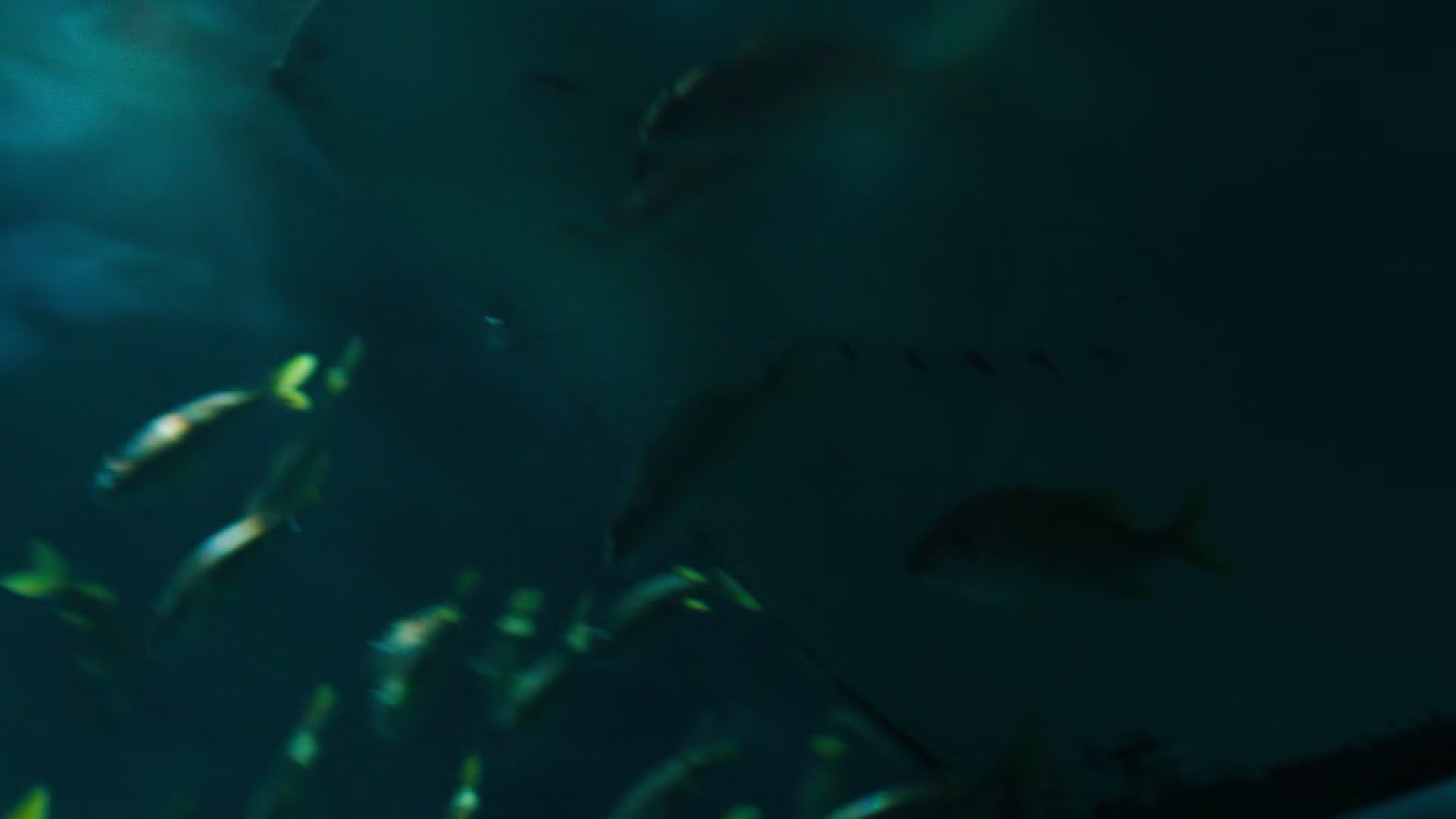 1x01_0698.jpg