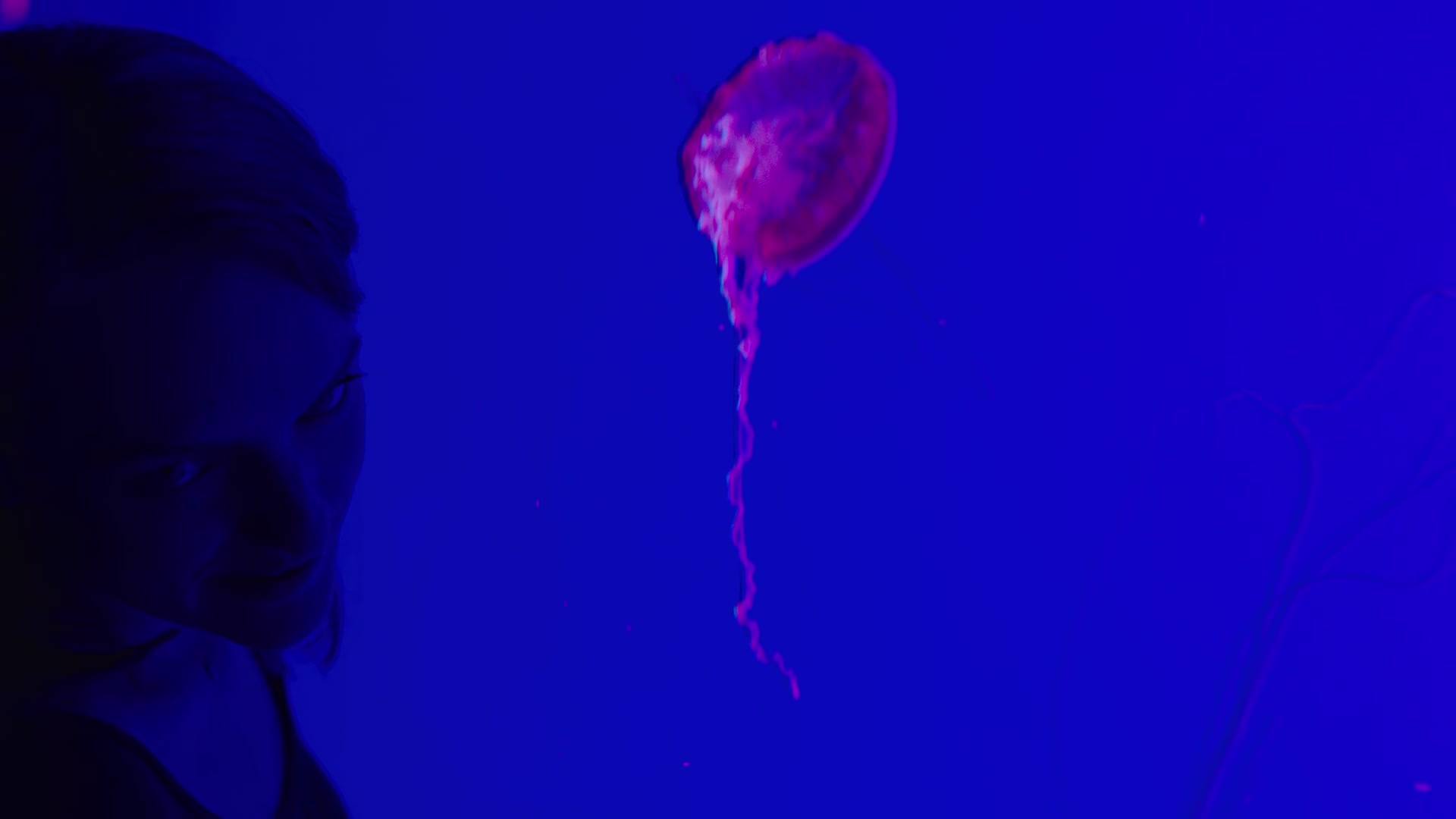 1x01_0709.jpg