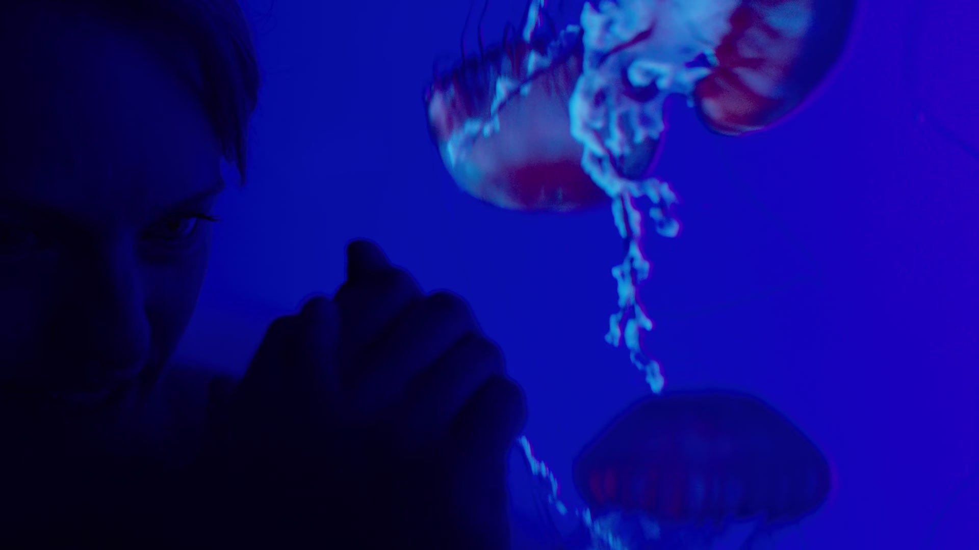 1x01_0712.jpg
