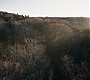 1x01_0126.jpg