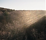 1x01_0127.jpg