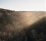 1x01_0128.jpg