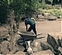 Filename=1x01_0307.jpg
Filesize=448KiB
Dimensions=1920x1080
Date added=Jun 29, 2020 1x01_0307.jpg