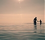 1x01_0386.jpg