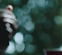1x01_0486.jpg