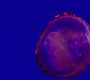 1x01_0705.jpg