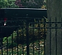 Filename=1x03_0470.jpg
Filesize=219KiB
Dimensions=1920x1080
Date added=Jun 29, 2020 1x03_0470.jpg