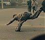 Filename=1x03_0935.jpg
Filesize=175KiB
Dimensions=1920x1080
Date added=Jun 29, 2020 1x03_0935.jpg