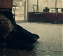 1x03_0955.jpg