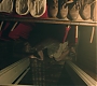 1x04_0078.jpg