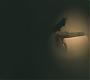 Filename=1x04_0094.jpg
Filesize=47KiB
Dimensions=1920x1080
Date added=Jun 29, 2020 1x04_0094.jpg