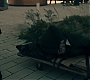 1x04_0676.jpg