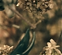 1x05_0149.jpg