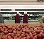 1x05_0241.jpg