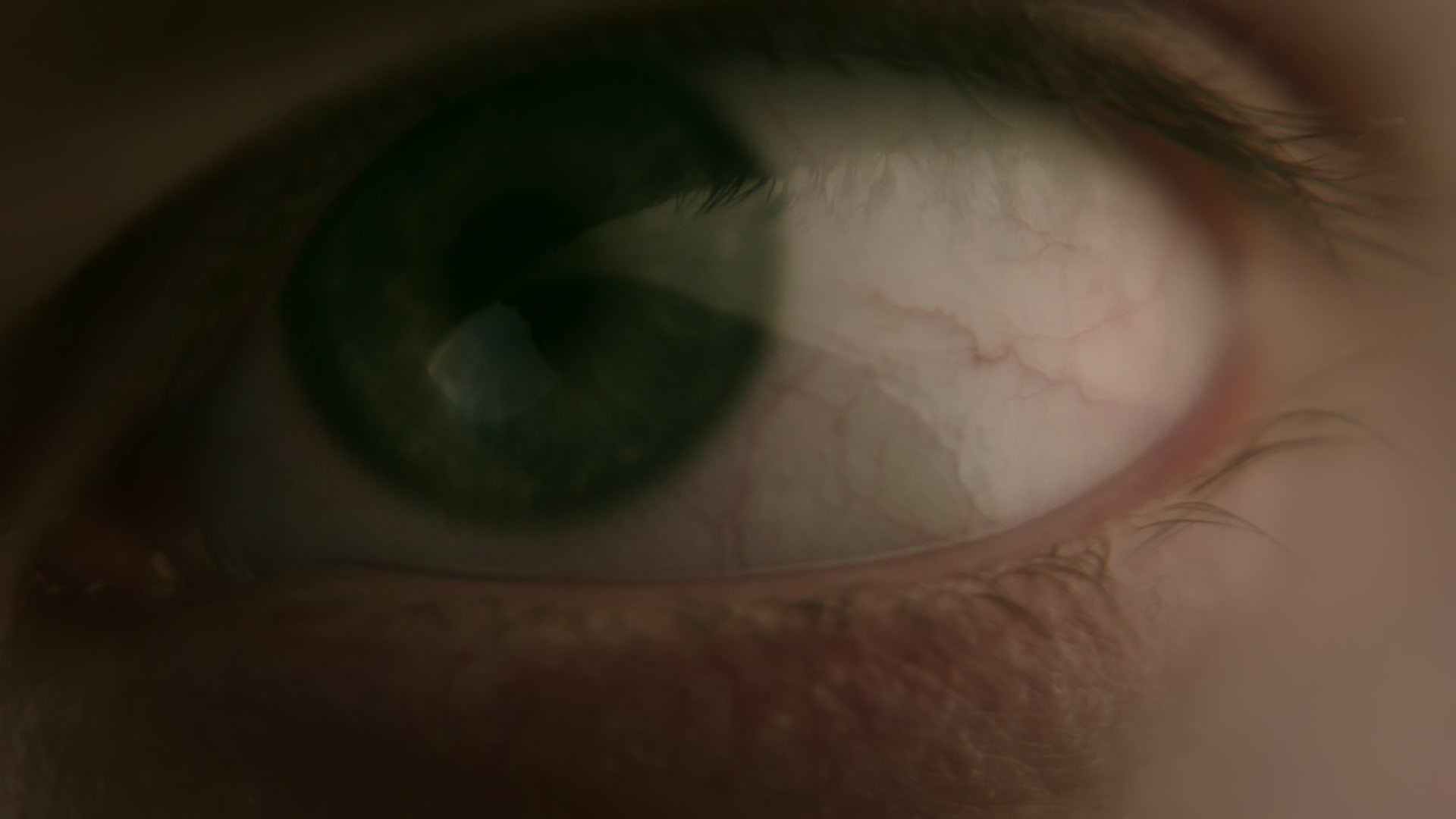 1x06_0483.jpg