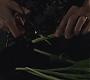 1x06_0311.jpg