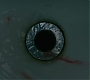 1x06_0481.jpg