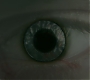 1x06_0482.jpg