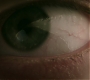 1x06_0483.jpg