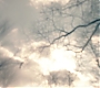 1x07_0063.jpg