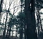1x07_0172.jpg