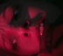 1x07_0363.jpg