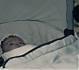 1x09_0174.jpg