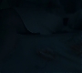 1x09_0698.jpg