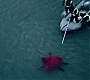 1x09_0861.jpg