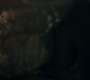 1x10_0204.jpg