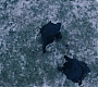1x10_0710.jpg