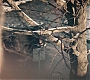1x10_0910.jpg