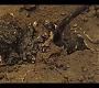 Filename=2x02_0134.jpg
Filesize=330KiB
Dimensions=1920x1080
Date added=Jul 02, 2020 2x02_0134.jpg