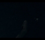 2x02_0437.jpg