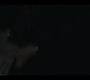 2x02_0742.jpg
