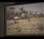 2x03_0607.jpg