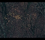 2x03_0756.jpg
