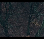 2x03_0757.jpg