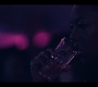 2x03_0818.jpg