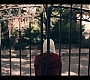 2x04_0963.jpg